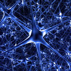 Blaue Synapsen die bei einer Neurose eine große Rolle spielen
